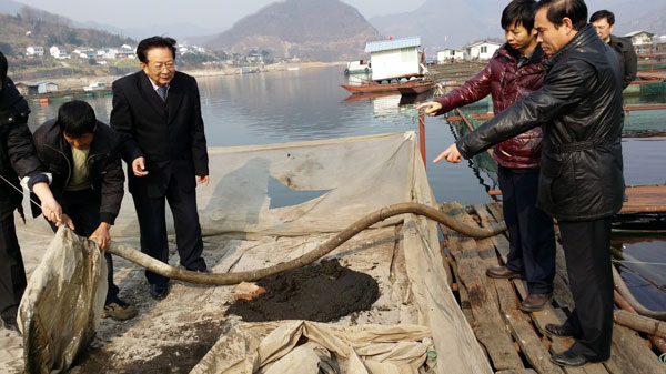 农业部渔业局副局长李书明在广元白龙湖调研网箱鱼体排泄物回收技术。